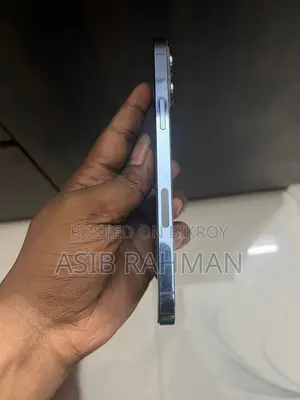 Apple iPhone 13 Pro Max 128gb (Used)