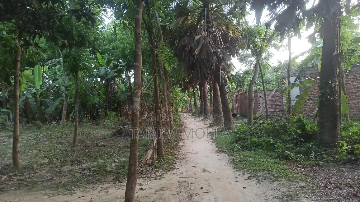 জমি বিক্রয় করা হবে মাগুরা