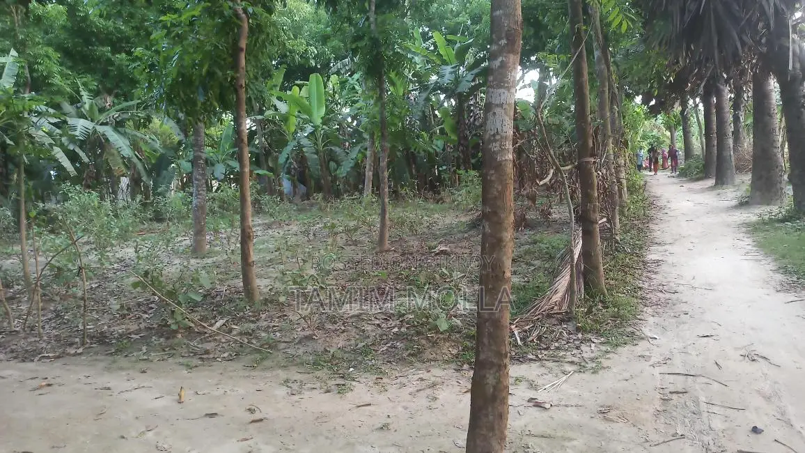 জমি বিক্রয় করা হবে মাগুরা