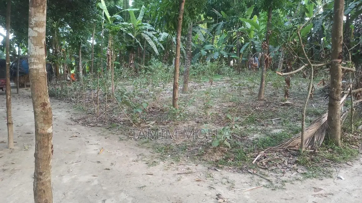 জমি বিক্রয় করা হবে মাগুরা