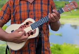 Ukelele Offer
