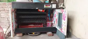 Incubator for Sale