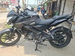 Bajaj Pulsar NS 160 2019 Gray