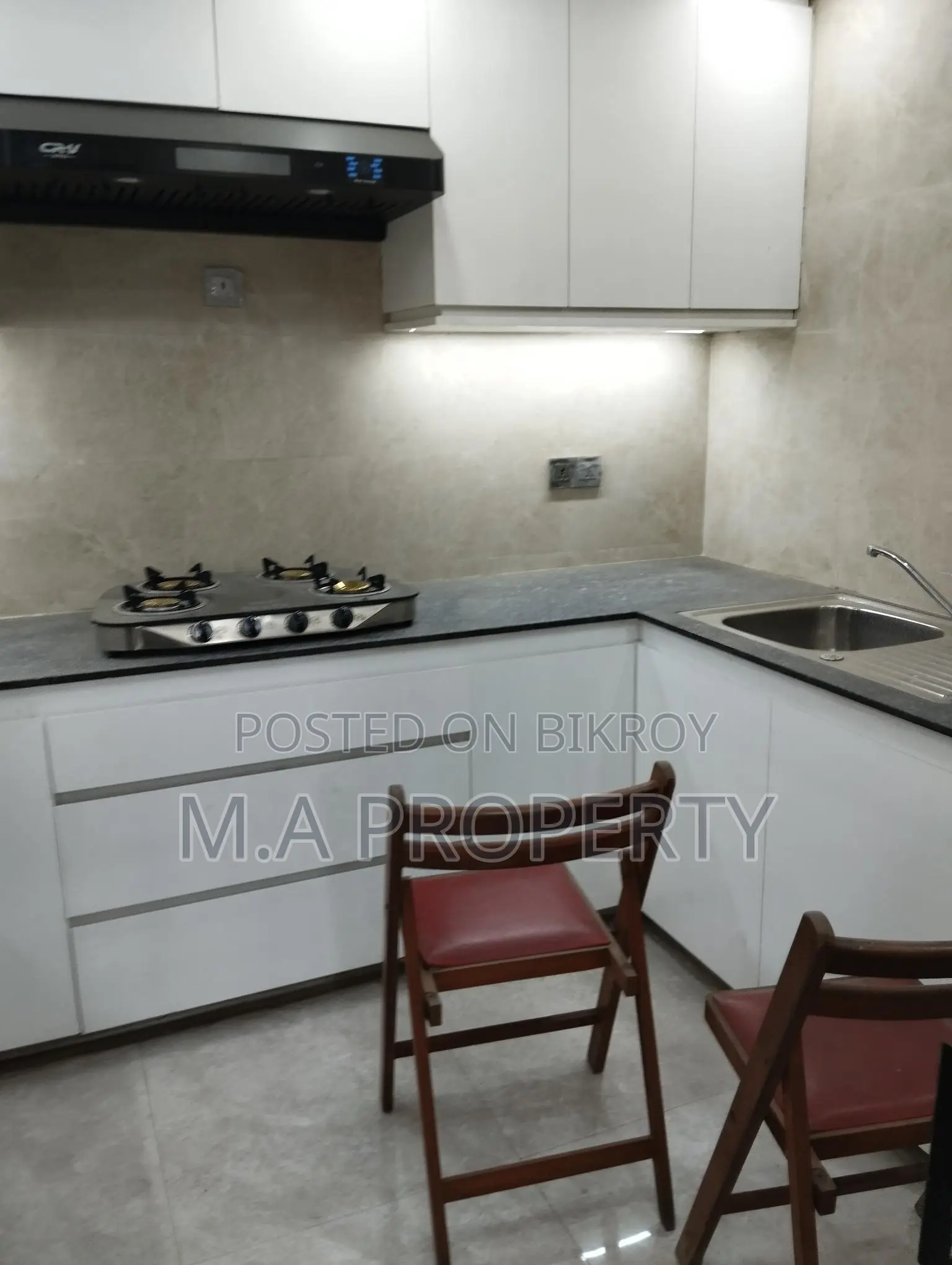 NEW 4000SFT 4BED ZIMPOOL SAMIFURNISHED FLAT RENT BARIDHARA DIPLOMATIC