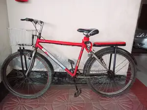 The bicycle is very fresh!