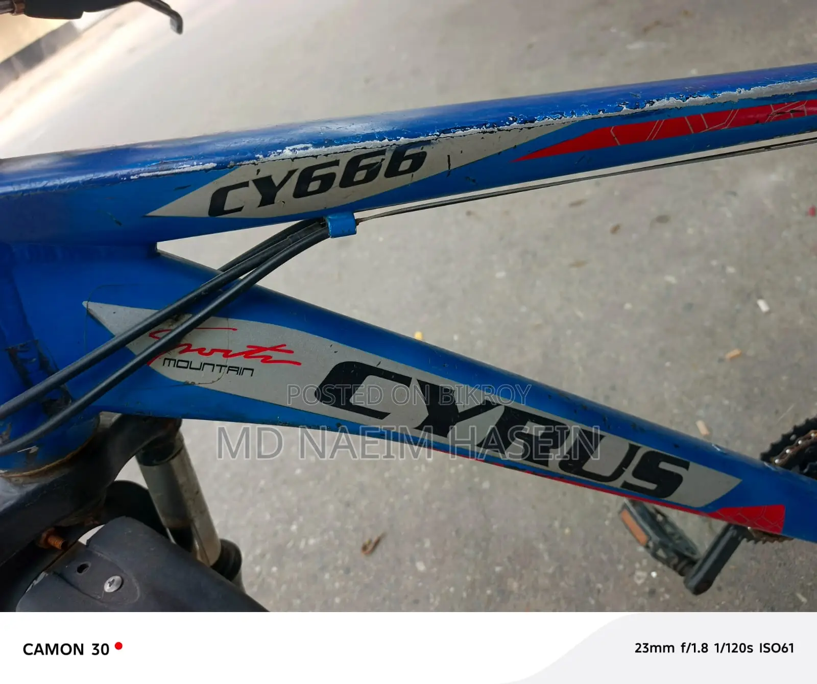 Cyrus Cycle