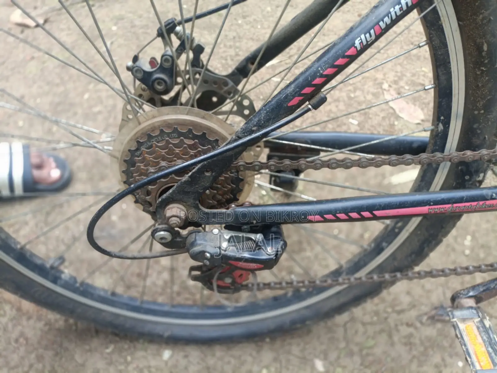Cycle for sale