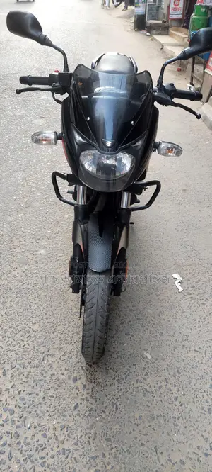 Bajaj Pulsar 150 Double Disc 2024