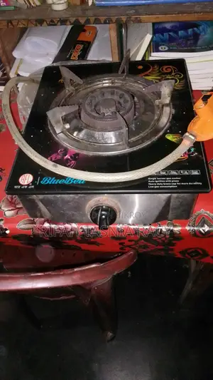 গ্যাসের চুলা