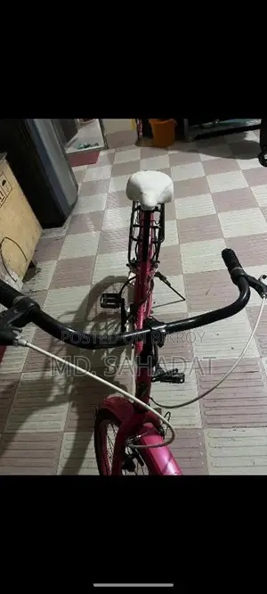 ভালো মডের সাইকেল