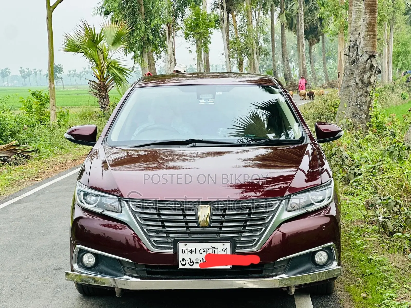 Toyota Premio fex pkz 2019