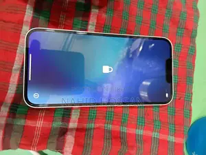 Apple iPhone 13 (Used)