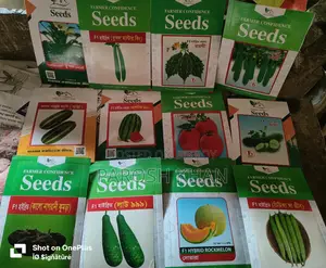 ভালো মানের উন্নত বিজ