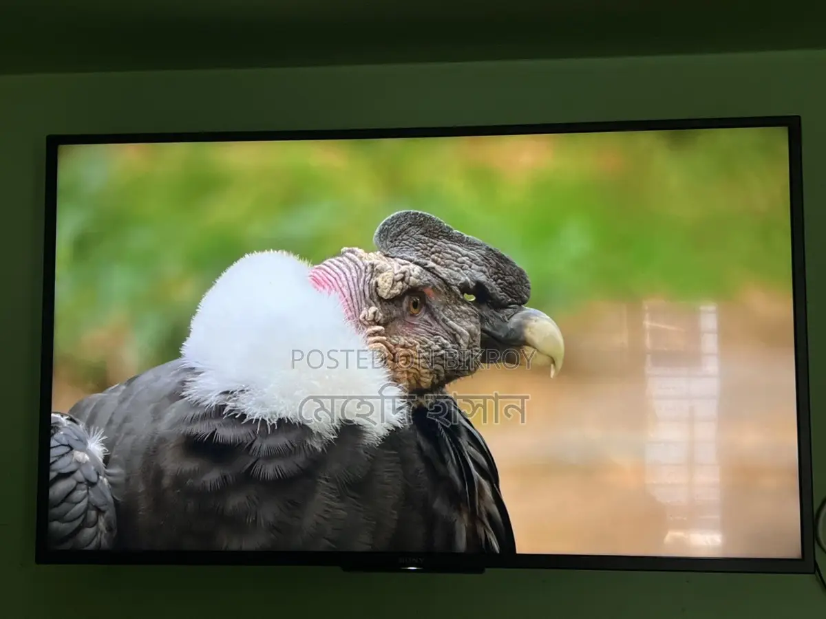 Sony smart tv
