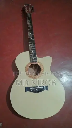 Guitar for Sale at a Throwaway Price