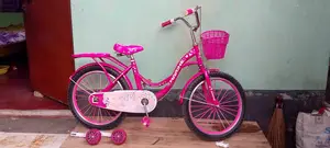 এই লেডিস বাইসাইকেল টি বিক্রি হবে