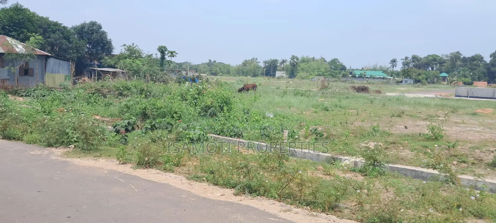 3 Katha plot for sale facing south with 75 feet road in Sector 15