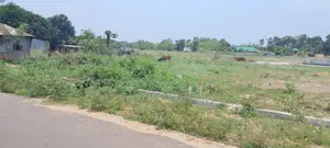 3 Katha plot for sale facing south with 75 feet road in Sector 15