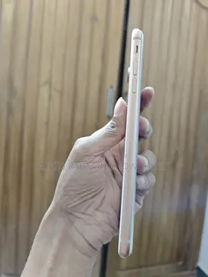 Apple iPhone 8 Plus 256 GB (Used)