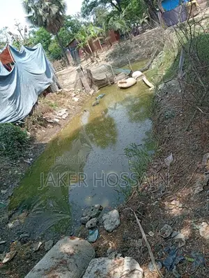 House with Land for Sale