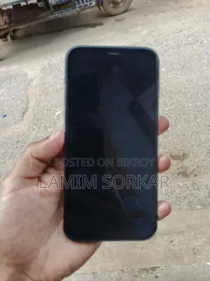 Apple iPhone 12 (Used)