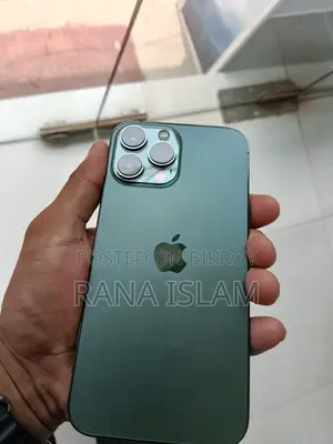 Apple iPhone 13 Pro Max (Used)