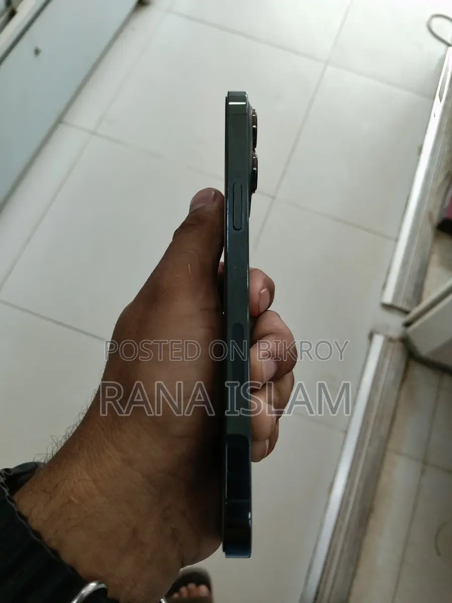 Apple iPhone 13 Pro Max (Used)