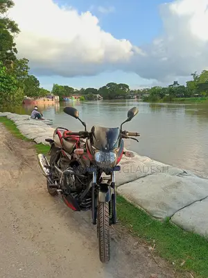 Bajaj Pulsar 150 . 2019