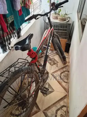 Spark Cycle