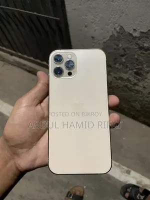অ্যাপল আইফোন ১২ প্রো ম্যাক্স (ব্যবহৃত)