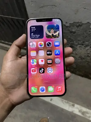 অ্যাপল আইফোন ১২ প্রো ম্যাক্স (ব্যবহৃত)