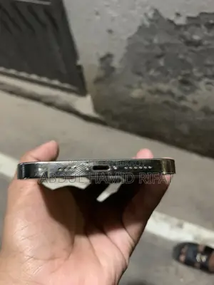অ্যাপল আইফোন ১২ প্রো ম্যাক্স (ব্যবহৃত)