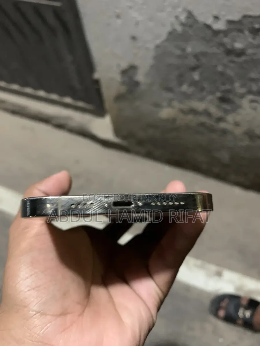অ্যাপল আইফোন ১২ প্রো ম্যাক্স (ব্যবহৃত)