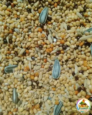 সামার স্পেশাল সিডমিক্স ধুলা-বালি মুক্ত