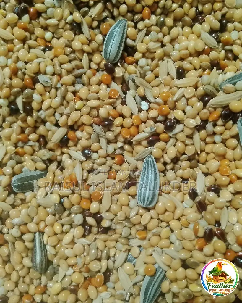 Summer Special Dust-Free Seed Mix