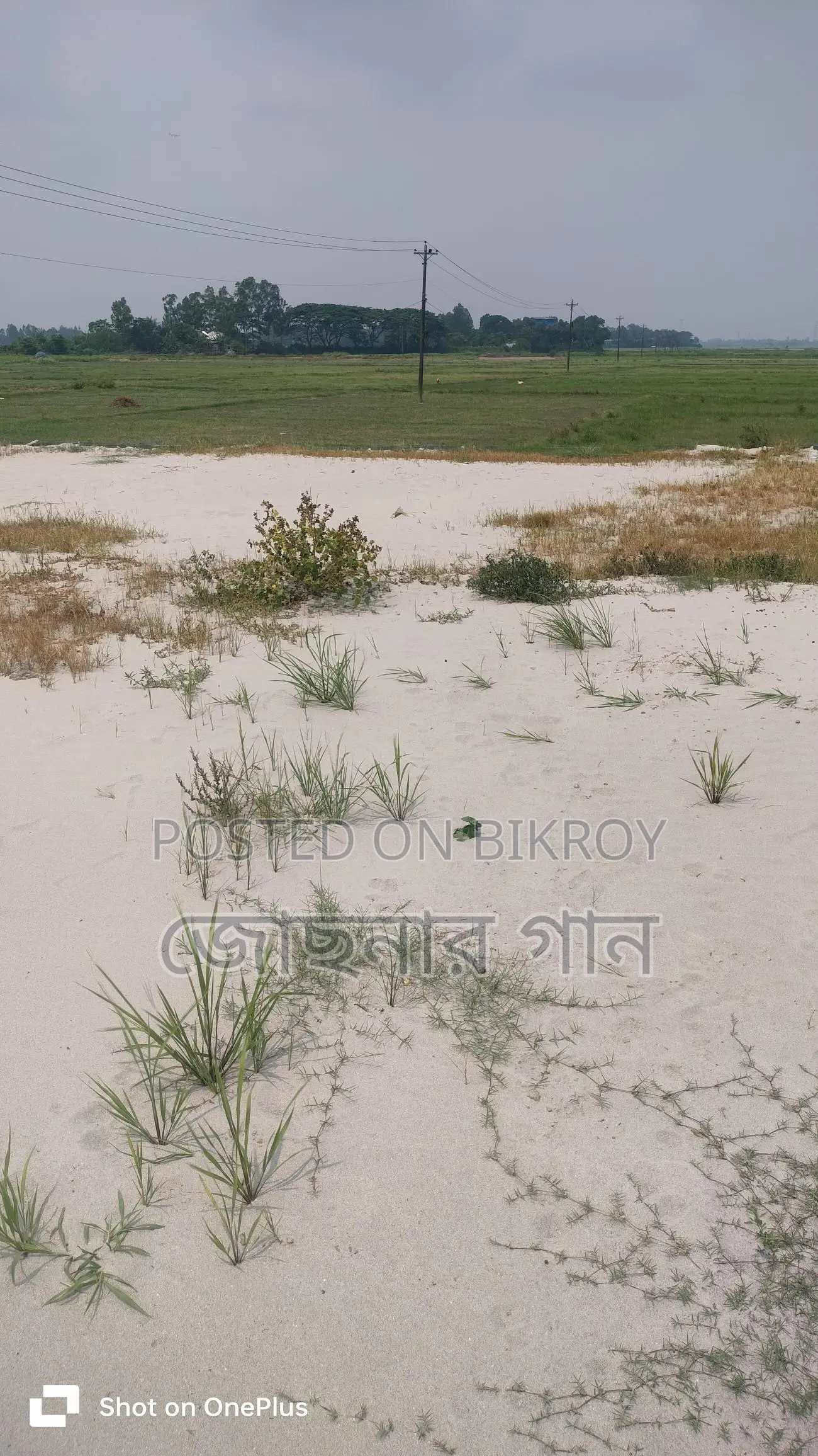 জায়গাটি মোট আয়তন ৫ শতাংশ
