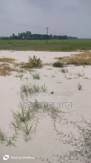 জায়গাটি মোট আয়তন ৫ শতাংশ