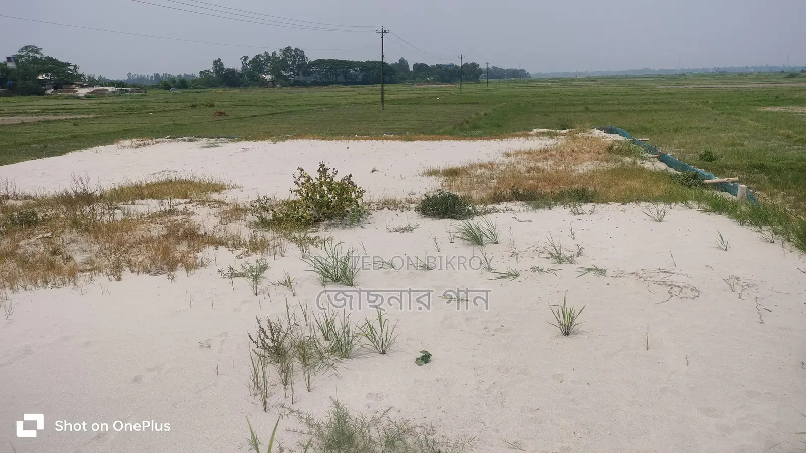 জায়গাটি মোট আয়তন ৫ শতাংশ