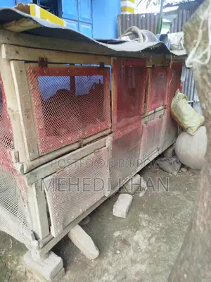 মুরগির ঘর