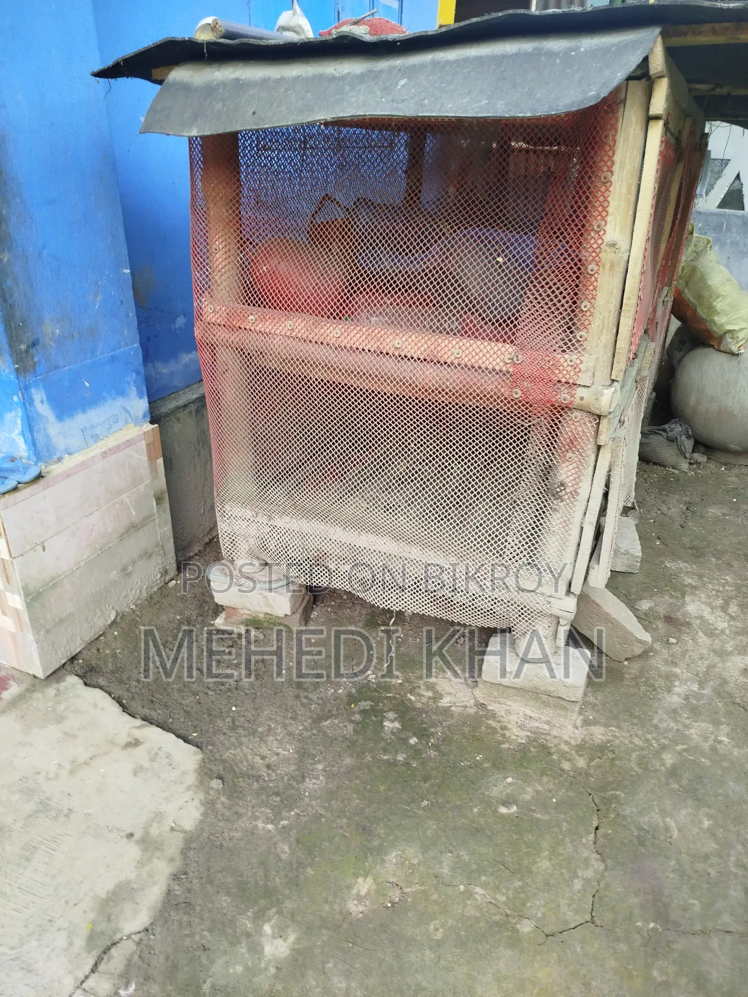 মুরগির ঘর
