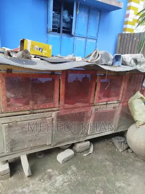 মুরগির ঘর