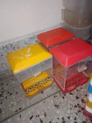 পাখির বিভিন্ন জিনিস
