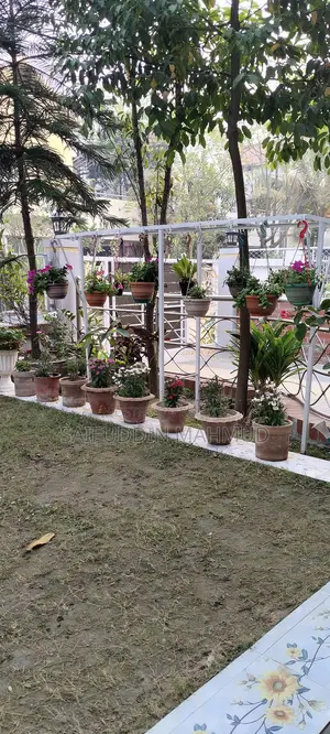 Ready Duplex House for Sale