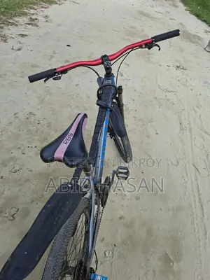 24" Gear Bicycle