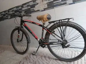 Hero Non-Gear Cycle