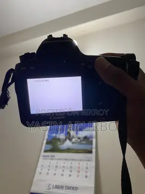Canon 6D with full setup