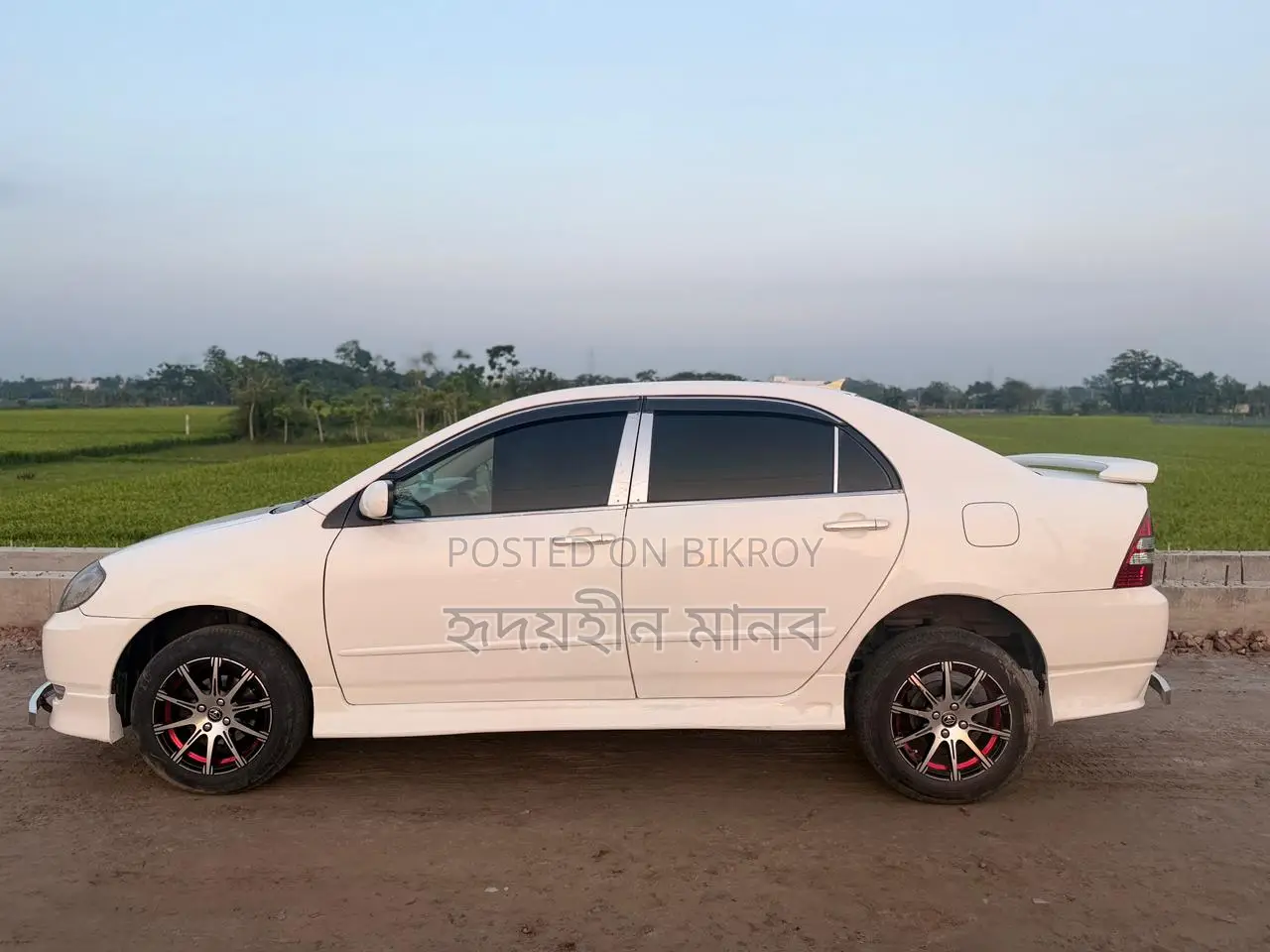 Toyota Corolla 2003