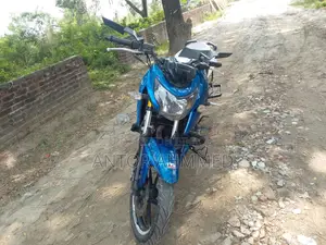 TVS Apache RTR 160 4V DD 2019