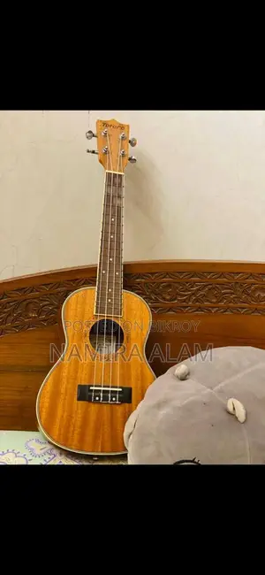 Ukelele Sell Post