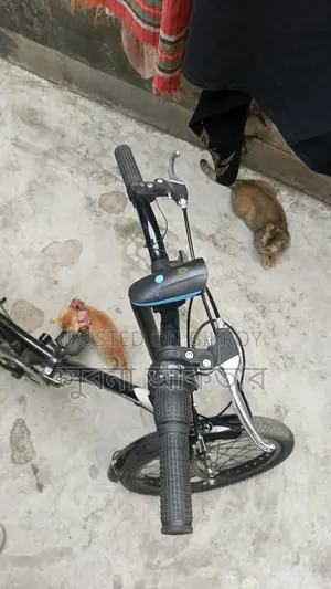 Bicycle for Sale